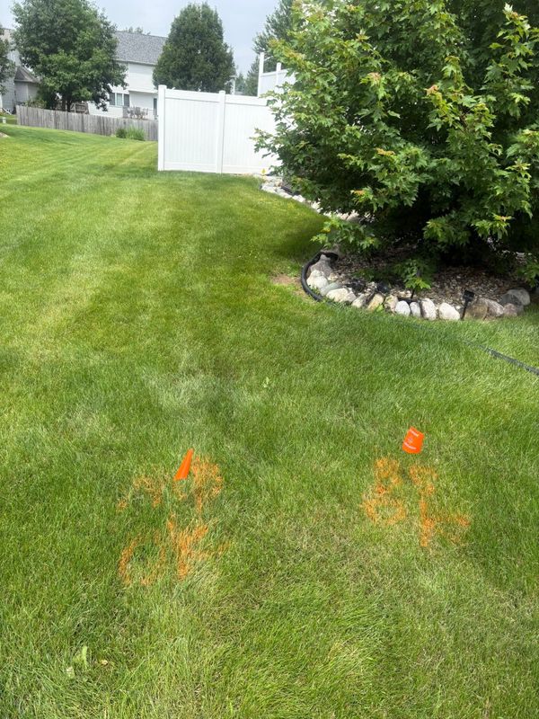 Lawn Aeration