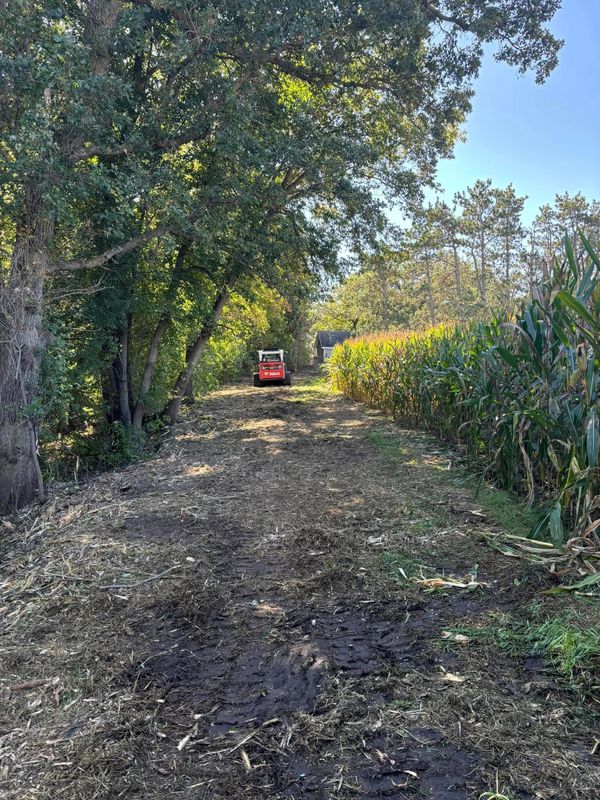 Fence Line Clearing