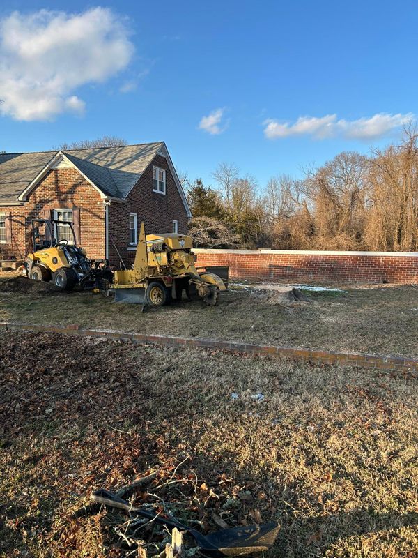 Stump Removal