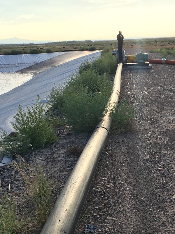 Weed Remediation