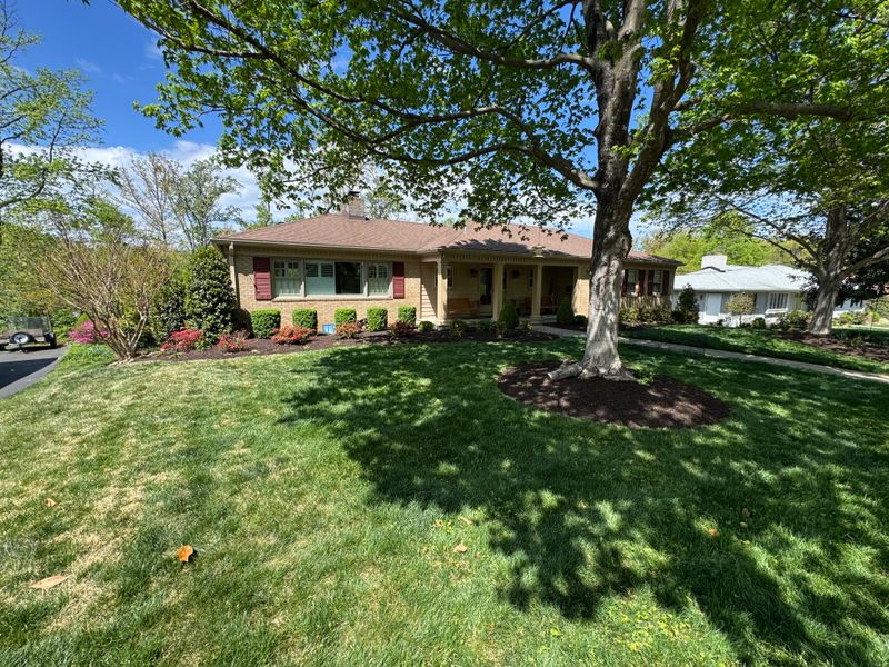 Lawn Care & Maintenance