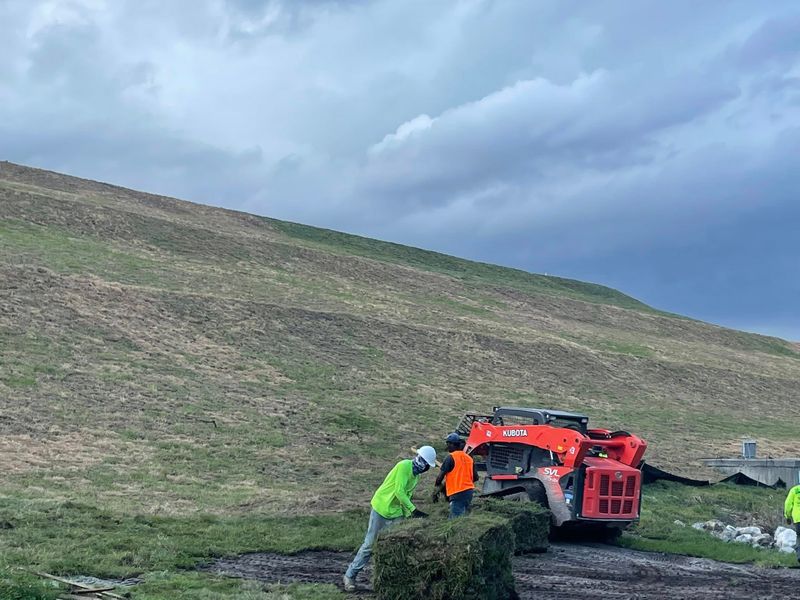 Land Clearing gallery