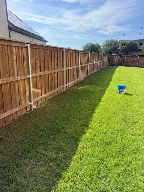 Deck and Fence Staining