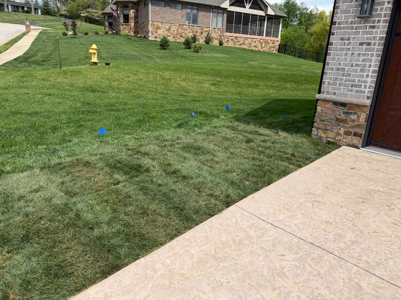 Sod Installs