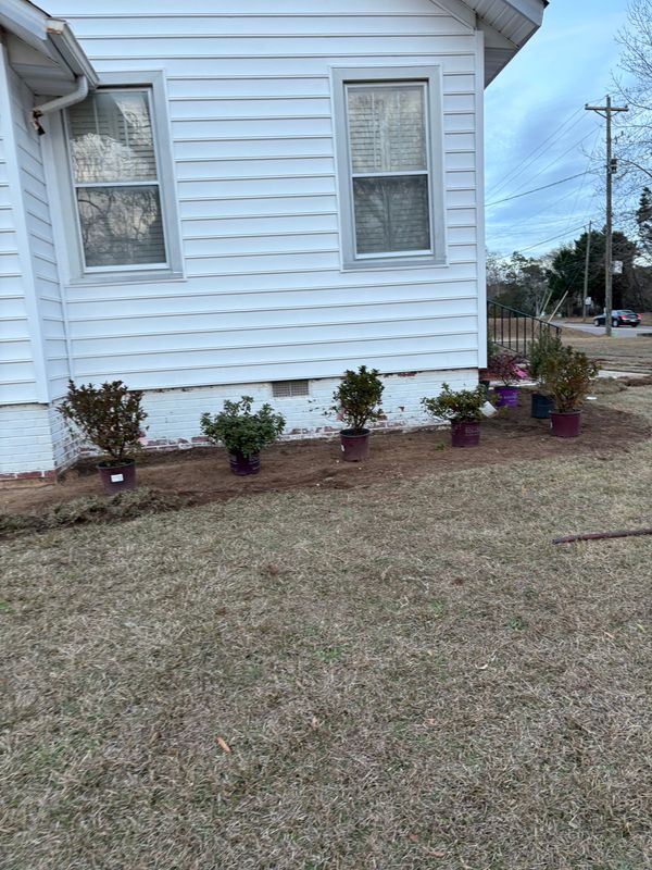 Landscape Design