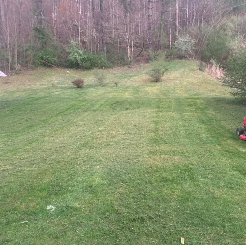 Lawn Maintenance