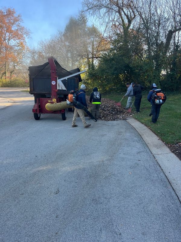 Landscape Maintenance