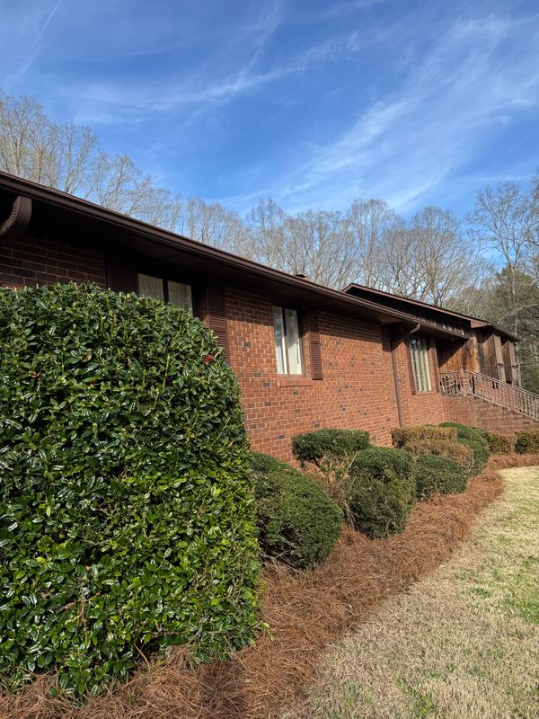 Shrub Trimming Gallery