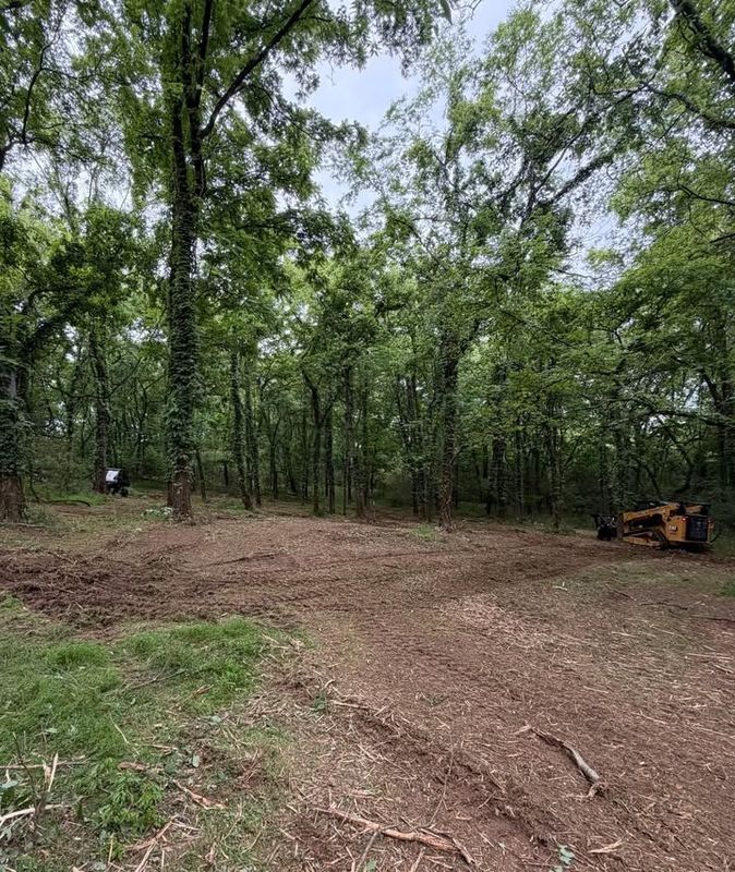 Lot Clearing