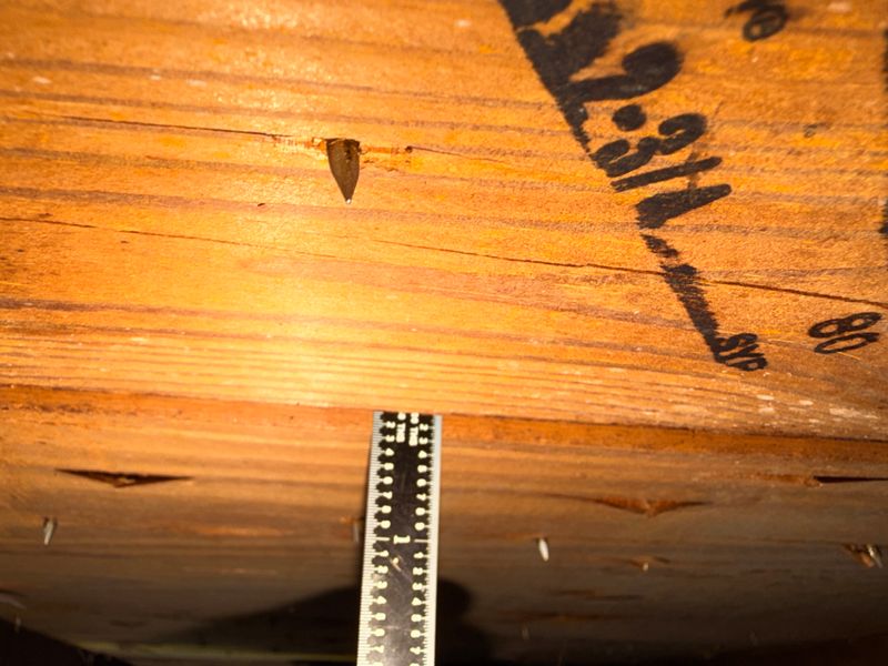 Roof Inspection