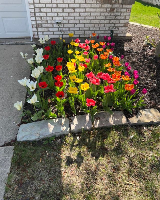 Landscape Design & Installation