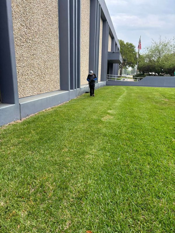 Commercial Pest Control