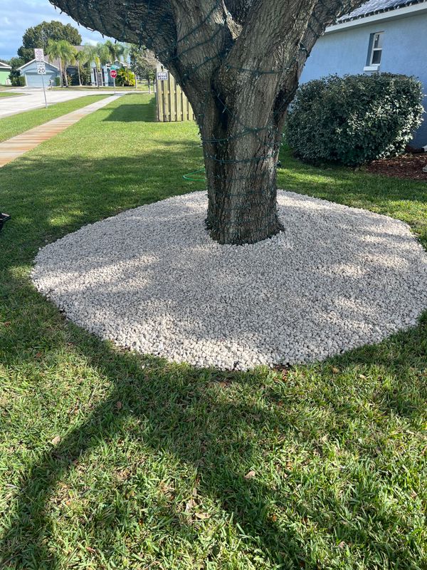 Lawn & Garden Services