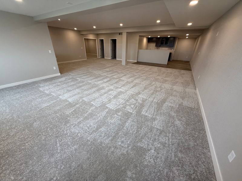 Carpet