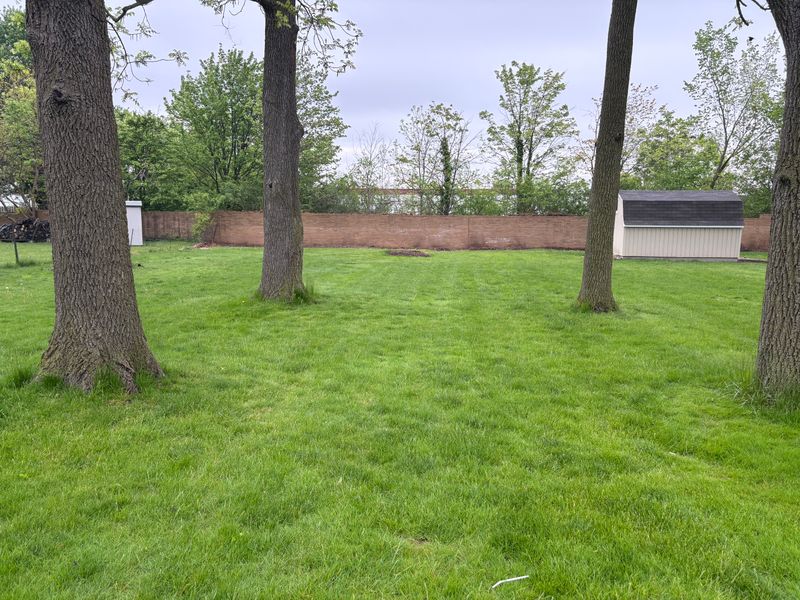Backyard Landscape Transformation