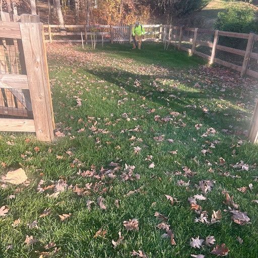 Lawn Maintenance