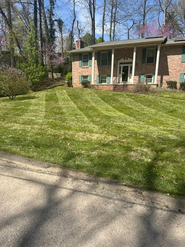 Lawn Maintenance