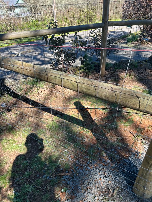 Fence Installation