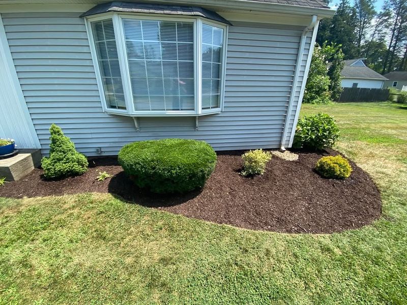 Lawn Maintenance