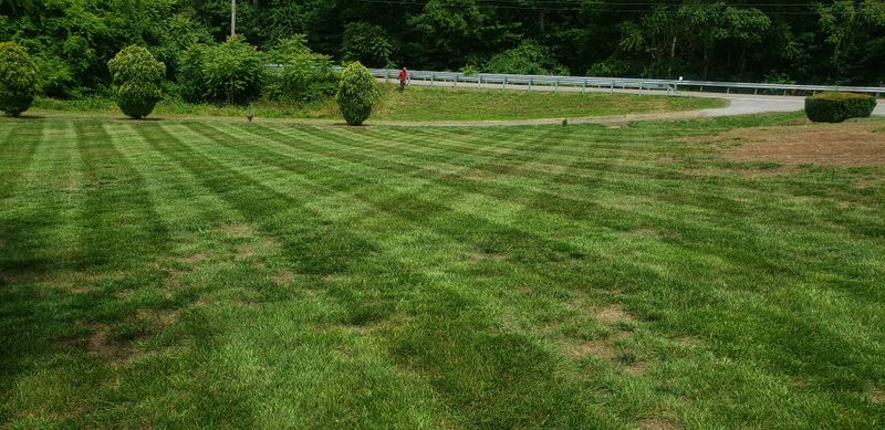 Lawn Maintenance