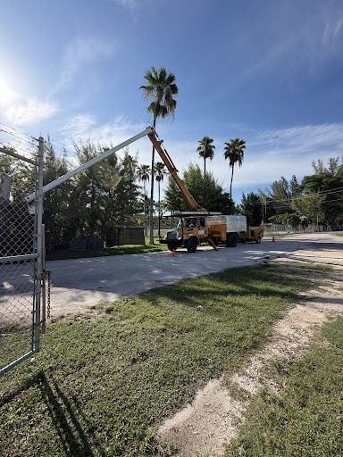 Tree Trimming