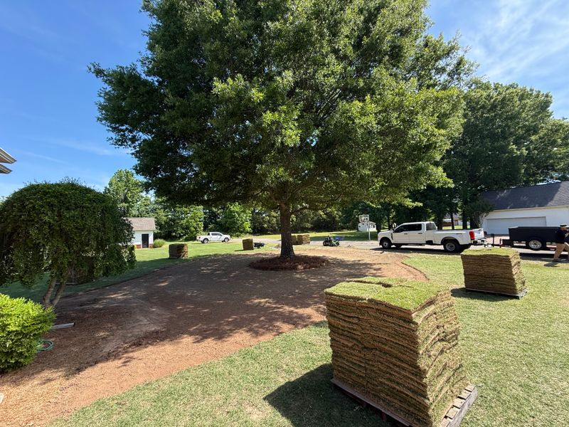 Landscape Design