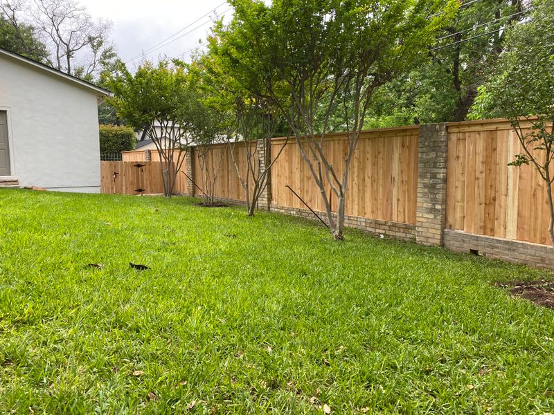 Installation of New Fences