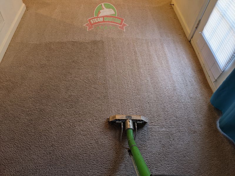 Carpet Cleaning gallery
