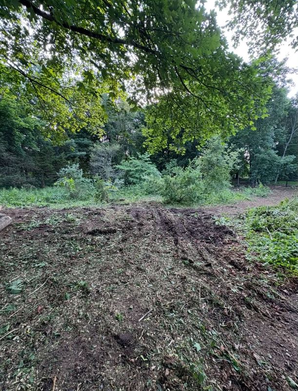 Brush Mowing