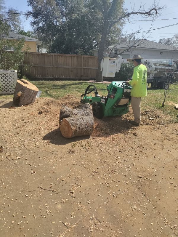 Tree Removal