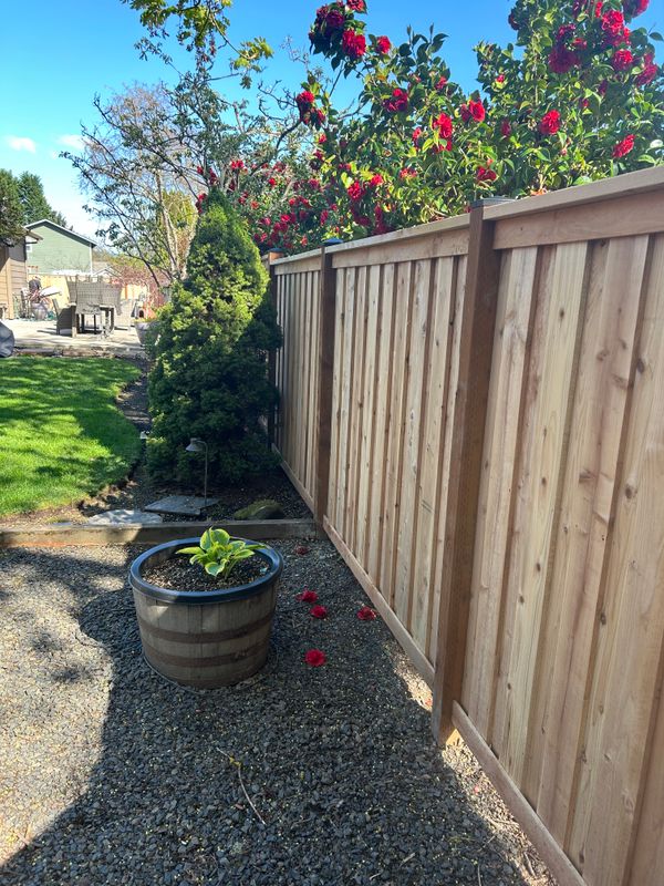 Fence Installation