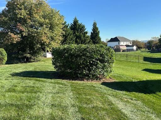 Lawn Maintenance