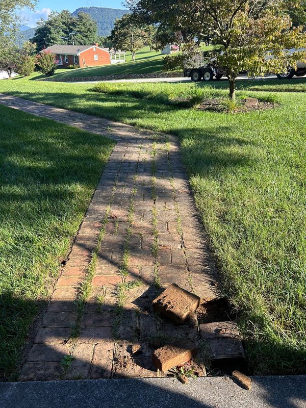 Lawn and Sod Installation