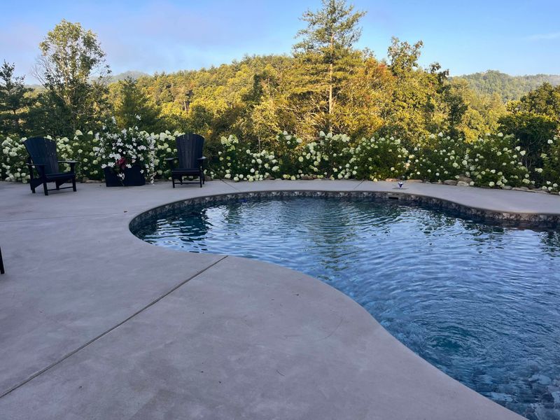 Custom Pool Construction