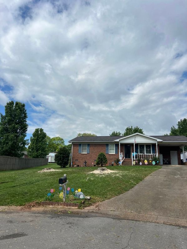 Tree Removal gallery