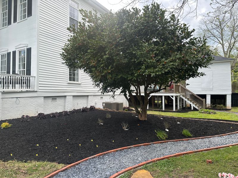 Plant Installs