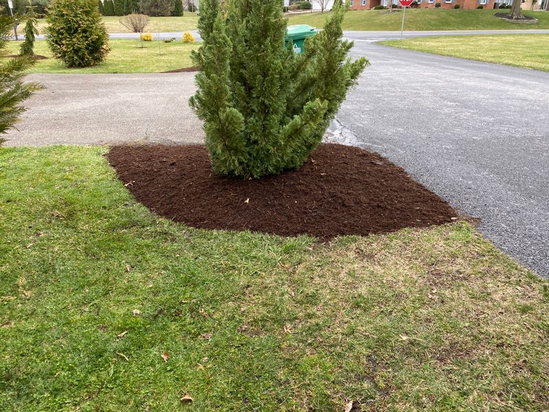 Garden Maintenance