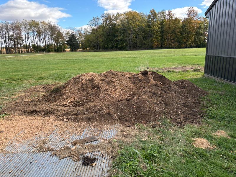 Stump Removal