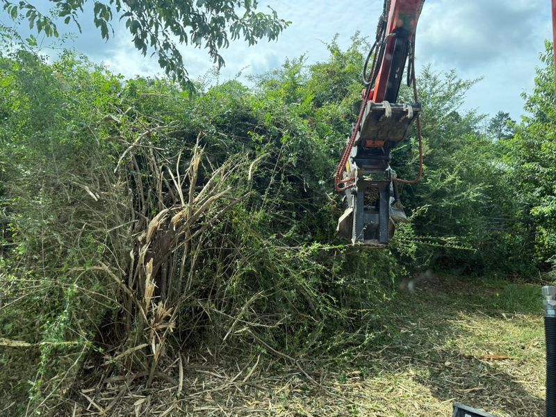 Land Clearing