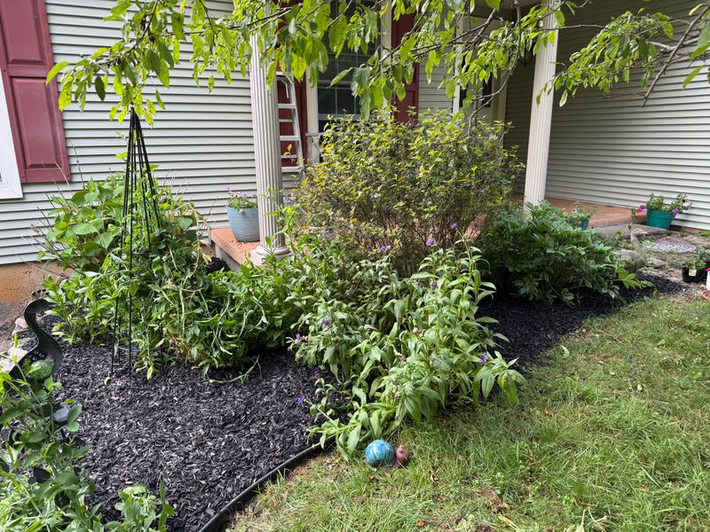 Garden Mulching