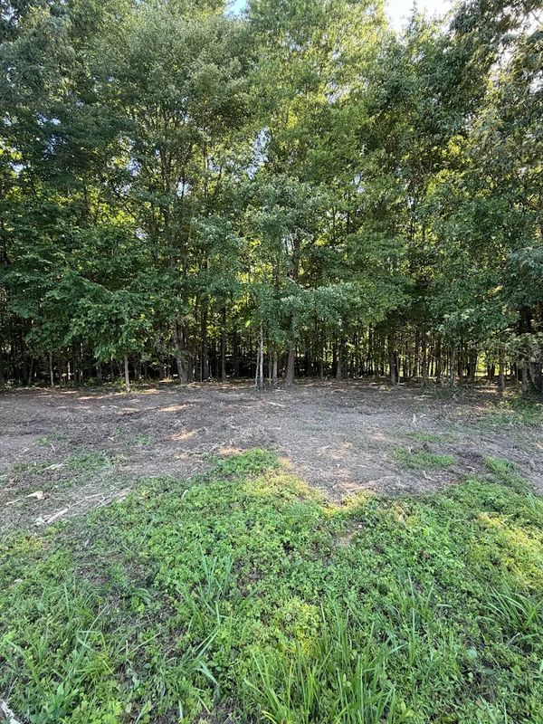 Lot Clearing