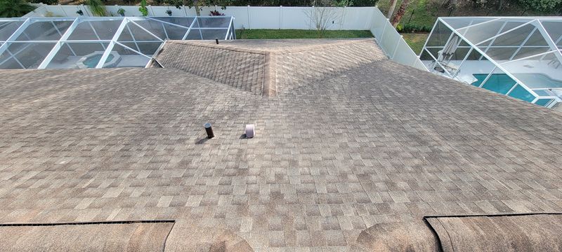 Shingle Roof Cleaning