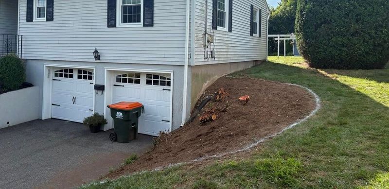 Shrub Removal & Install