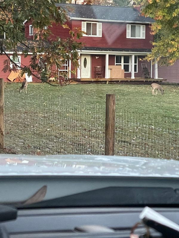 Residential Fencing