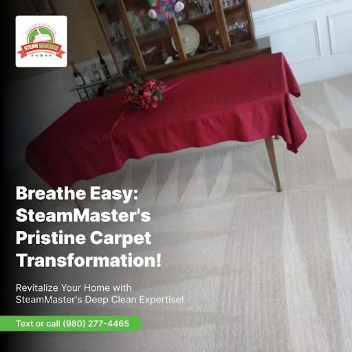 Upholstery Cleaning