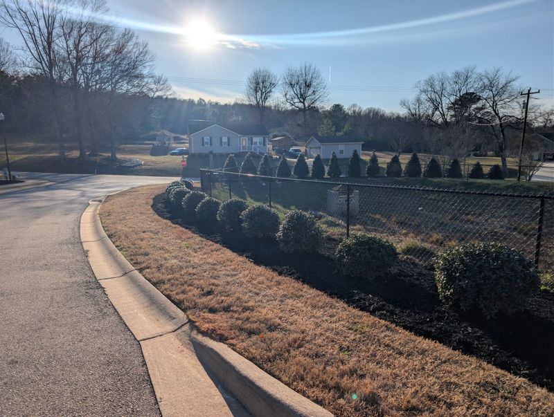 Mulch Installation