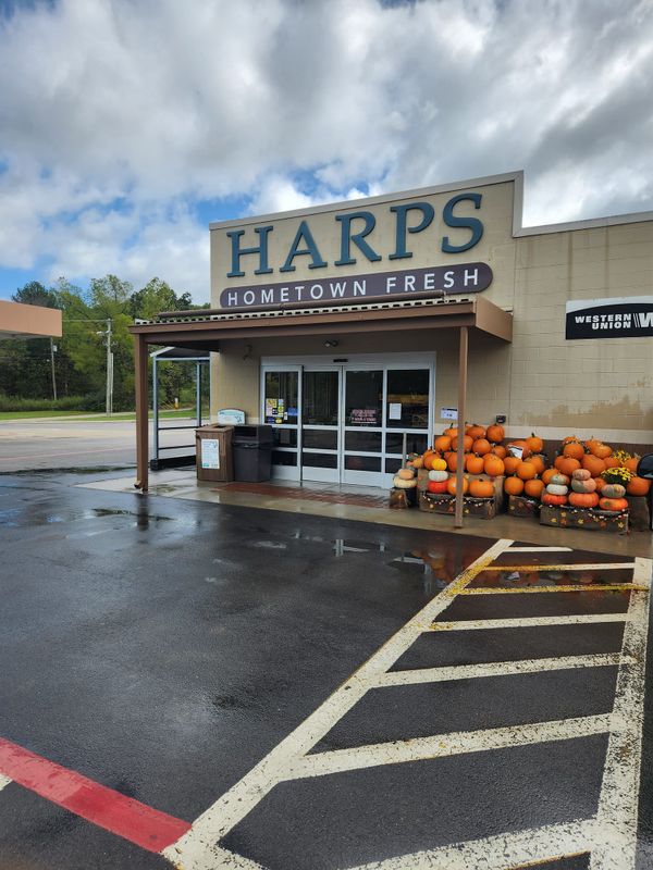 Hardscape Cleaning