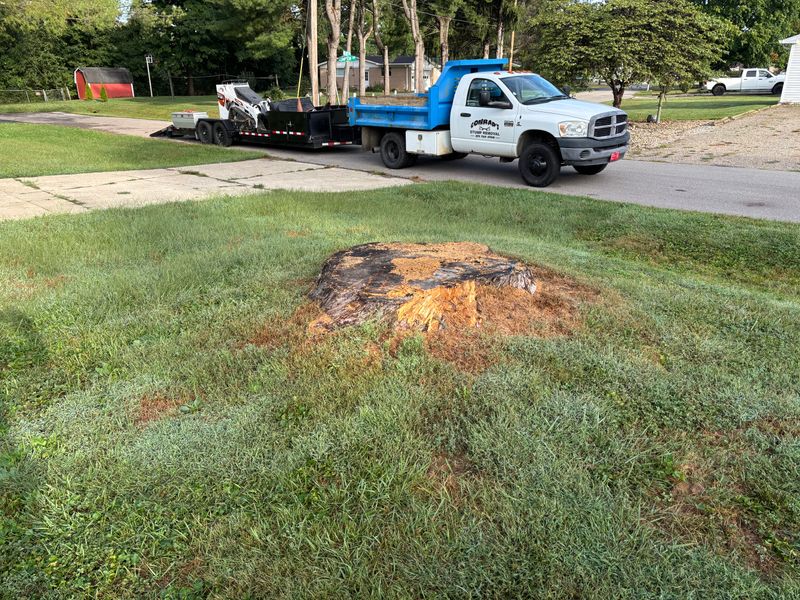 Stump Removal