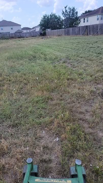 Lawn Mowing