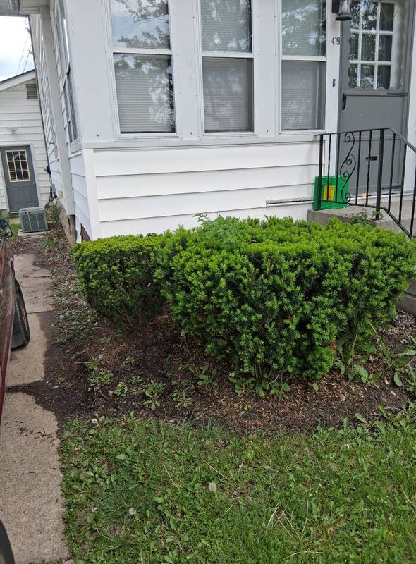 Landscaping